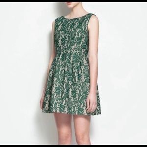 NWT Zara Green Lace Tulip Dress
